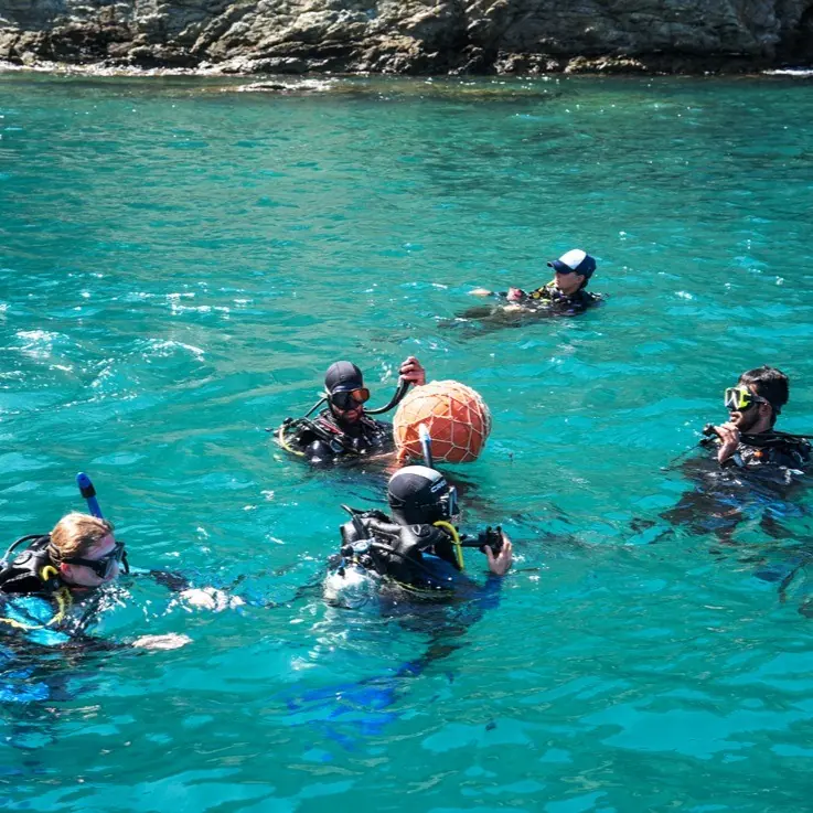 Buzos en la superficie, en agua turquesa junto a las rocas